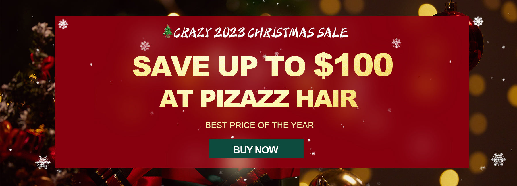 Crazy 2023 Christmas Sale: Save Up to $100 at Pizazz Hair
